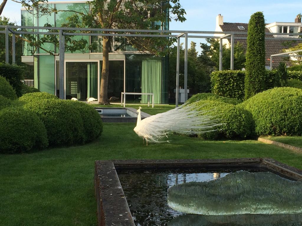 H-House Architectural Residence Maastricht Oda fotoğraf